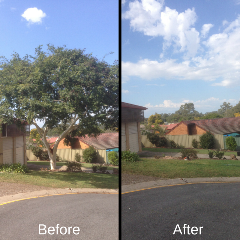 Before and After