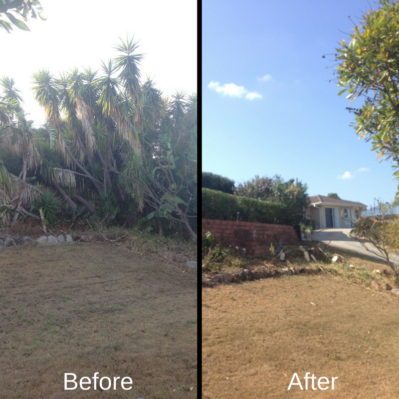 Before and After