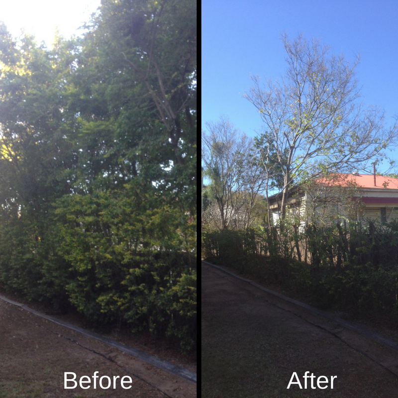 Before and After