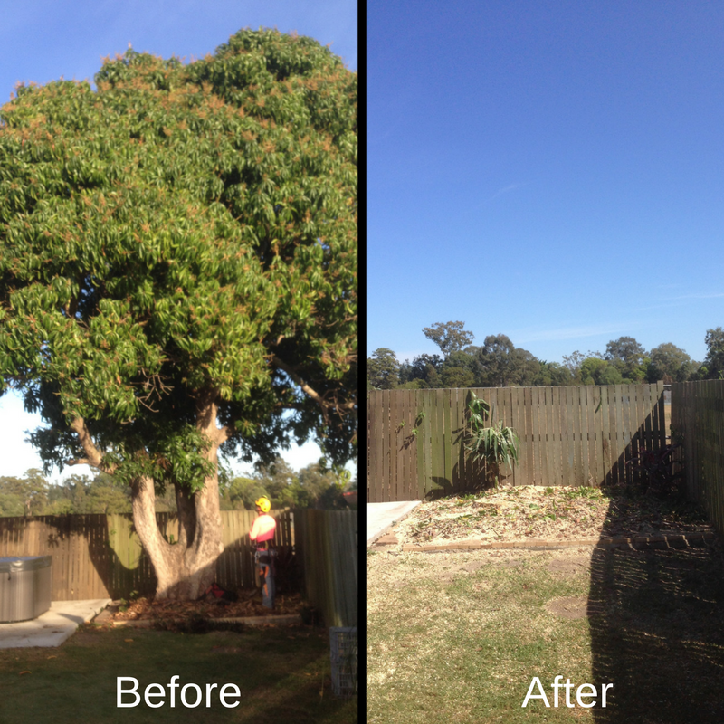 Before and After