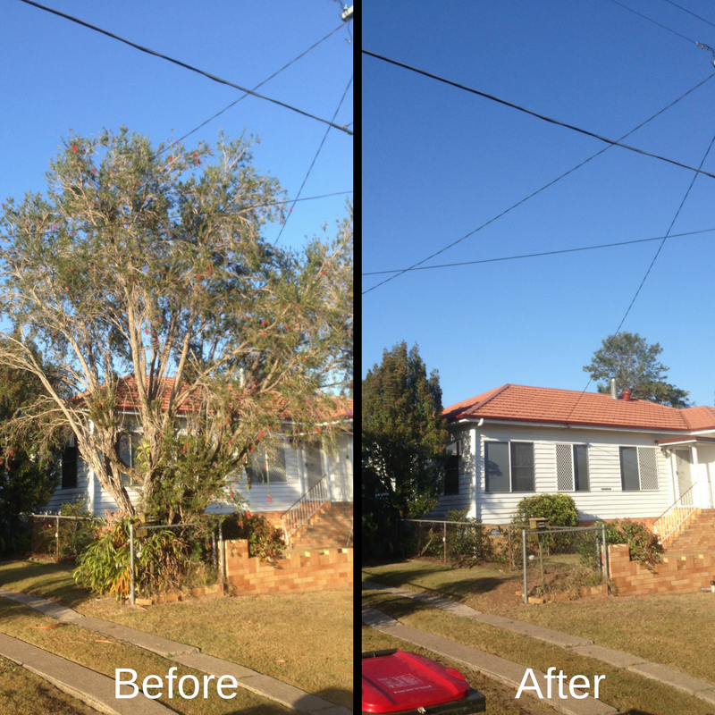 Before and After