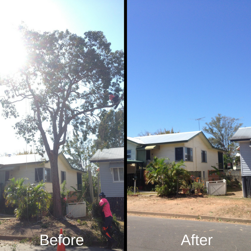 Before and After