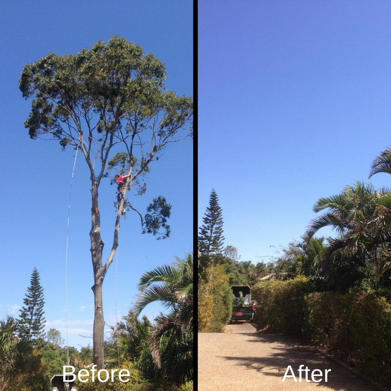 Before and After