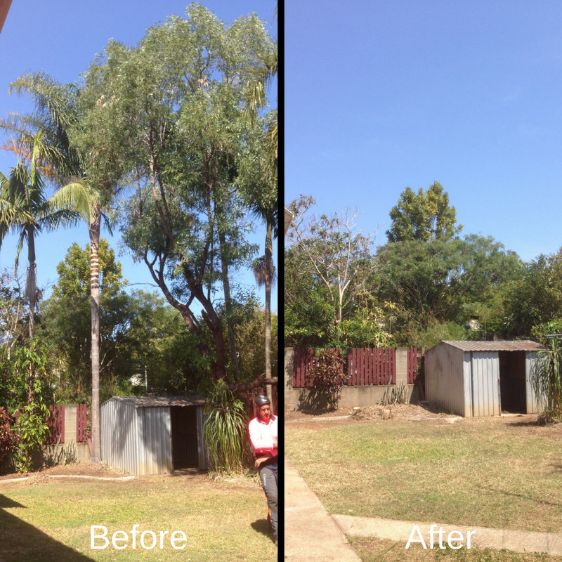 Before and After