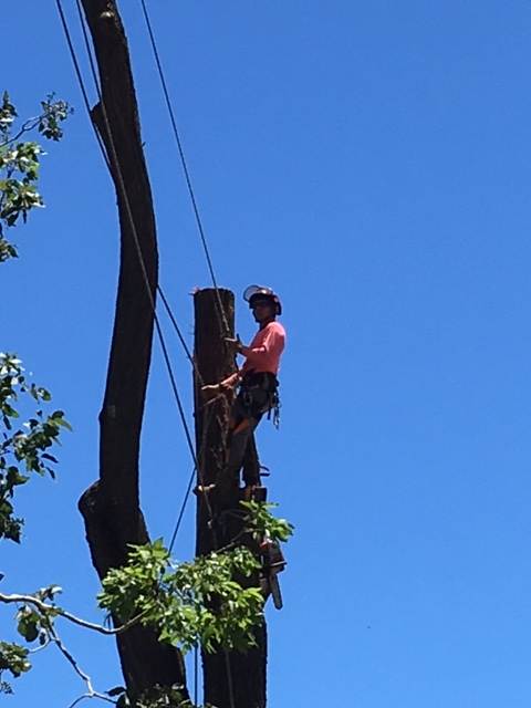 Climbing