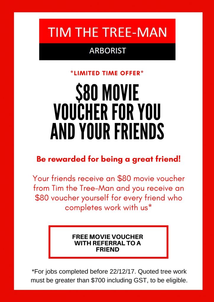 Movie Voucher